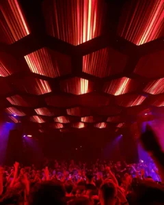 The nights